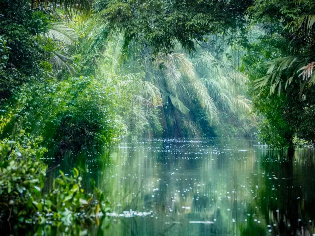 Tortuguero National Park, Costa Rica